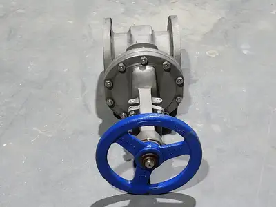 Used DSI VALVES API 603 Valves/Fittings British Columbia CA | Lenmark #914829