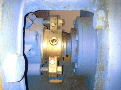 USED Goulds 3175