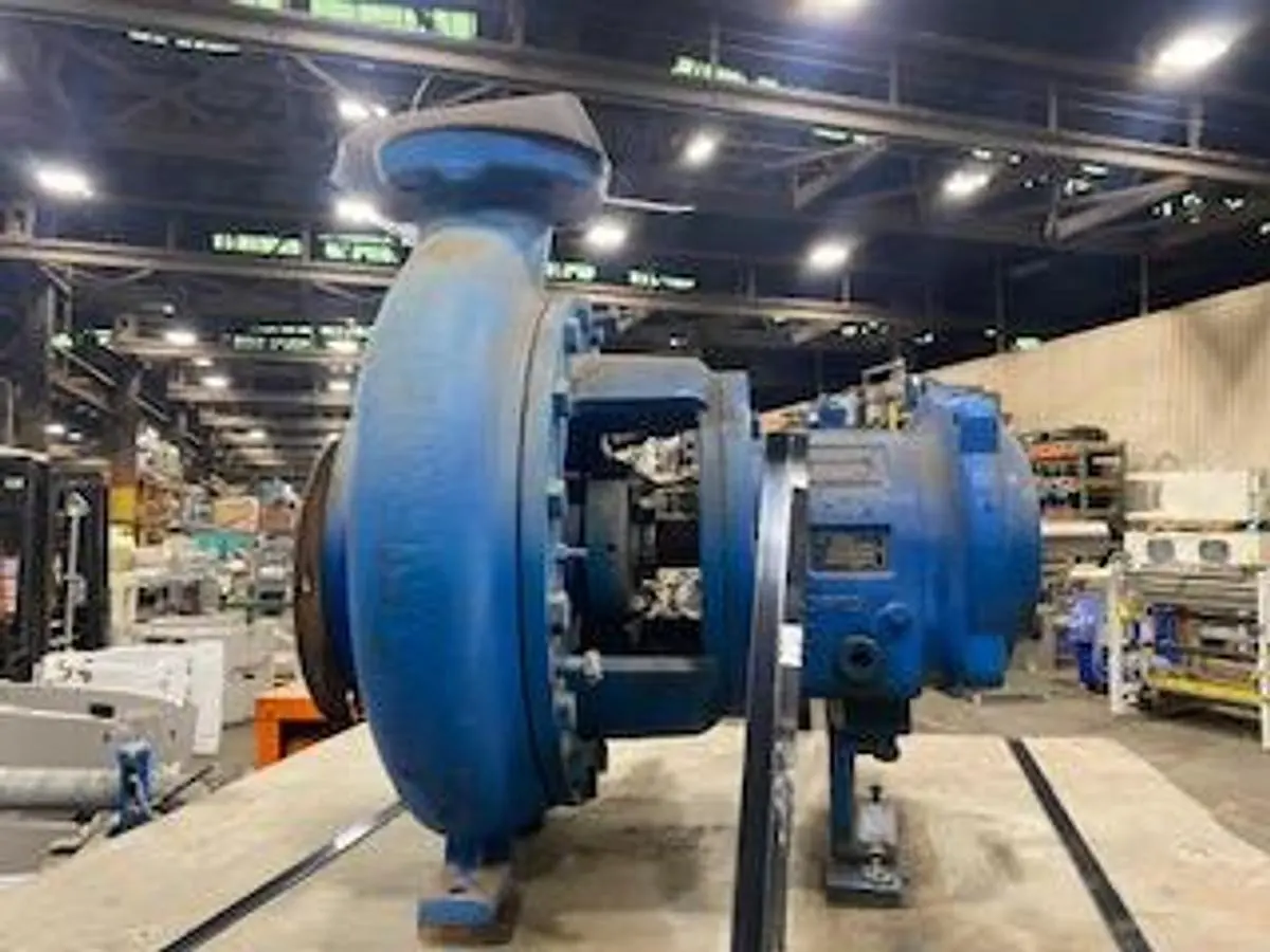 USED GOULDS 3196