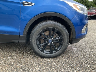 Used 2019 FORD ESCAPE SUVs Michigan US | Miedema Asset Management Group #1411161