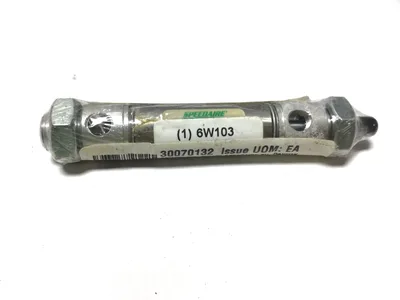 Speedaire 6W103 Stainless Steel Pneumatic Air Cylinder