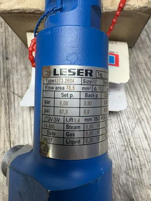 Used LESER 4373.2604 Pumps South Carolina US | ESS Industrial Equipment Sales #1307431