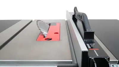 NEW LAGUNA F1