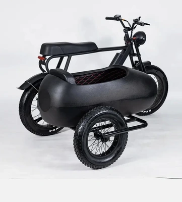 New | in-Stock Ebike PlayeBike 750w 6 Speed Shimano Electric Tricycle Ebike Bicycle With Side Car Motorcycles (Misc) California US | DanvasLLC #1303687