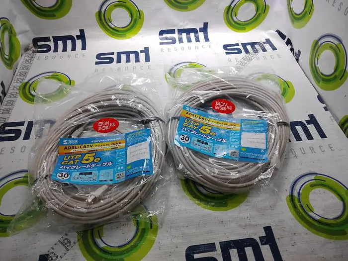 NEW SANWA SUPPLY CAT 5E