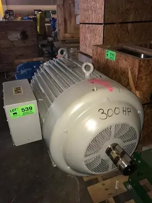300 HP Motor P&H – New