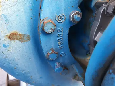 USED GOULDS 3196