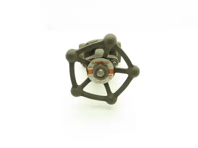 Anvil Products Fig 811 Gate Valve 1" NPT Forged Steel 1975psi Rising Stem