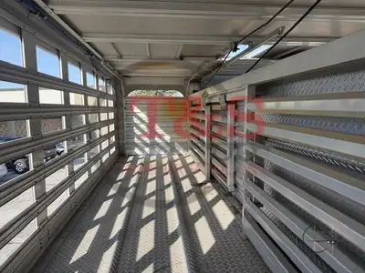 Used 2019 WILSON _UNKNOWN_ Livestock Trailers Illinois US | T&S Trailer Pool #1509468