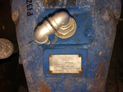 USED Goulds 3175