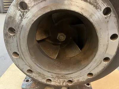 Used GOULDS 3196 Pumps Ohio US | Surplus Asset Holdings #1550491