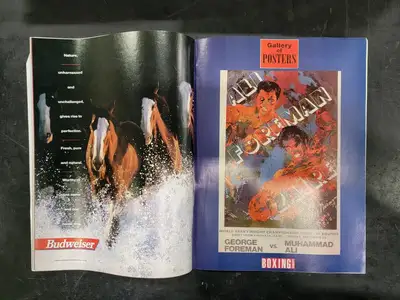 USED BOXING ILLUSTRATED APRIL 1995