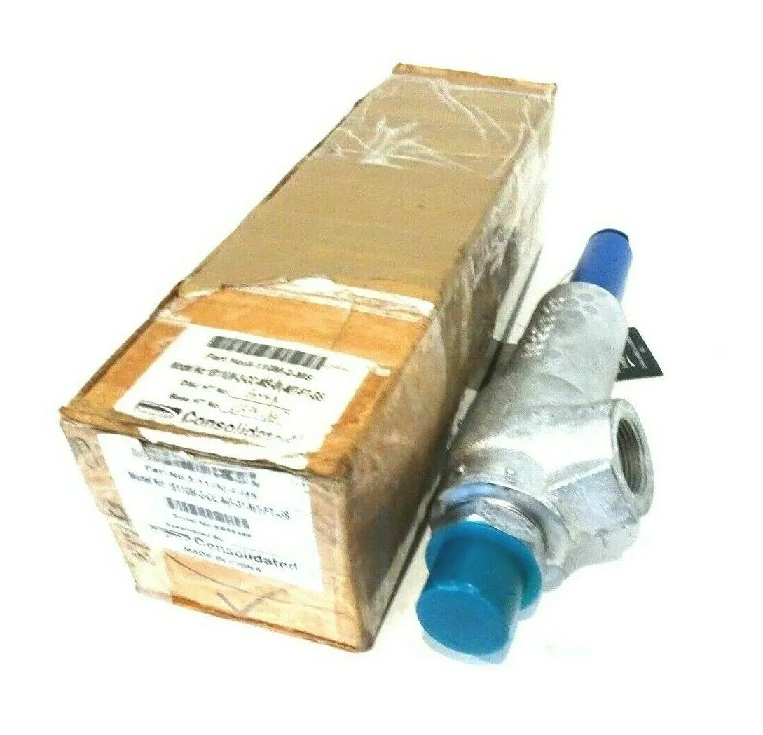NEW GE DRESSER 19110M-2-CC-MS-31-MT-FT-GS RELIEF VALVE 3-110M-2-MS