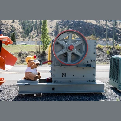 12 in. Marty the Miner Plush Toy