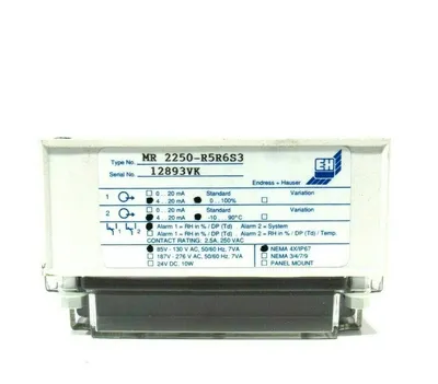 NEW ENDRESS + HAUSER RH-PLUS 2250