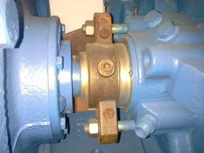 USED Goulds 3175