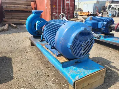 USED GOULDS 3196