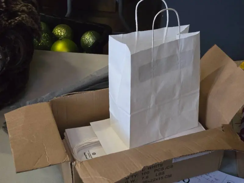 Lot of (52) Gift Bags 8" x 10" and One Box of Gray Tissue Paper