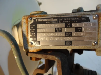 Annin 1", Class 600, CF8M Control Valve