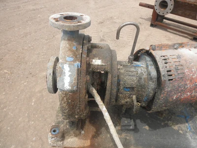 USED GOULDS 3196