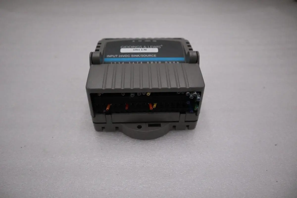 Giddings & Lewis M.1300.7372 R1 Input Module 24VDC SINK/SOURCE STOCK 5164A