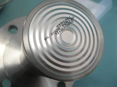 NEW Rosemount 3051 L2 AA6FD31AAS1