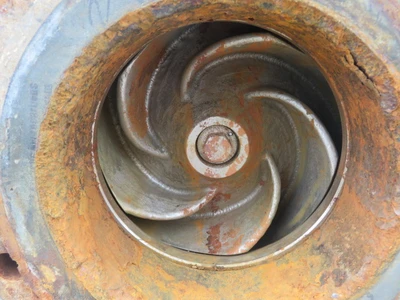 USED Goulds 3175