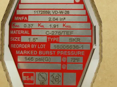 BS&B Safety Systems 1172559; VD-W-26 Rupture Disk 1.5" Type SKR 146 PSIG @ 72°F