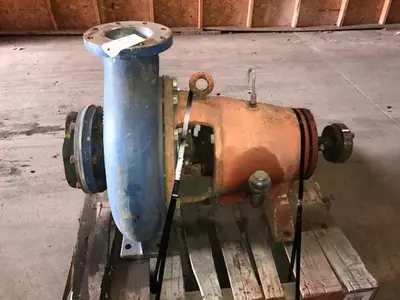 Goulds 3175M 6x8x18 SS