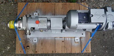 8 to 20 Lpm Johnson S/S JKTD Lobe Pump Model 20/0020