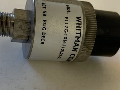 NEW WHITMAN CONTROLS P117G-10H-F12L24-X