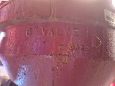 Containerized Foam Fire Suppression System w/ Deluge Valve, Potter Controls & Piping Manifold