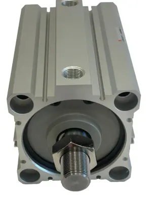 NEW SMC CDQ2B80-100DM COMPACT CYLINDER CDQ2B80100DM
