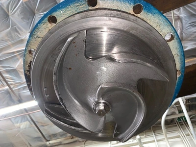 USED Goulds 3175