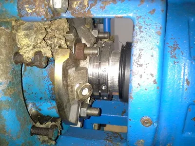 USED Goulds 3180