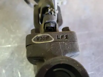 1" Class 800 Globe Valve API 602