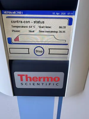 USED THERMO HERACELL 240 I GP DOUBLE STACK INCUBATOR AMBIENT +3° TO 55°C
