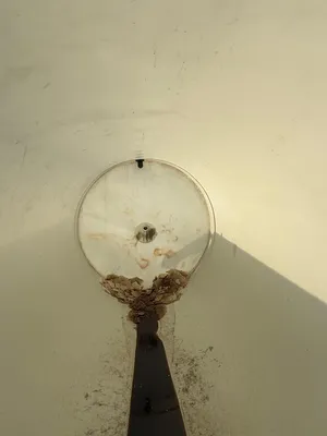 Gallon Tank Tank | ListingHippo (5)