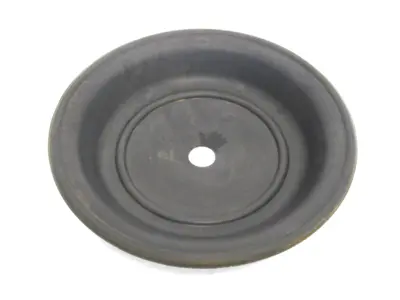 NEW WILDEN 24-N DIAPHRAGM 24N