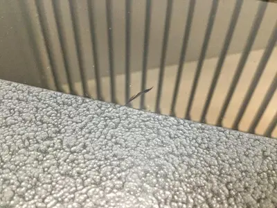 USED MOLD MASTER 01-031-501-1
