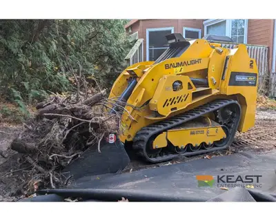 Used BAUMALIGHT _UNKNOWN_ Compact Track Loaders Iowa US | Keast Enterprises #1360114