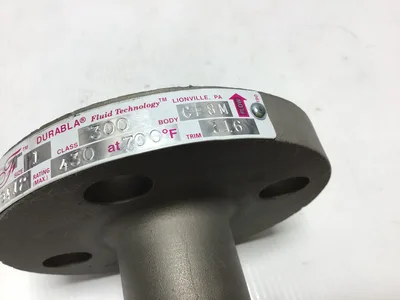 Durabla DLC Fluid Technology B16.34 Stainless Steel Check Valve 1″ Class 300 CF8M