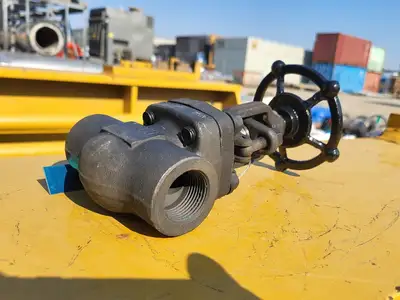 1" Class 800 Globe Valve API 602