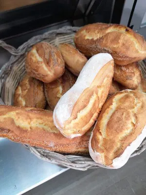 pietro Berto MD/CS Electric Deck Ovens | Harvest Equipment and Fabrication Inc (19)