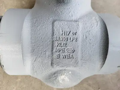 2" 900 PSI Globe Valve