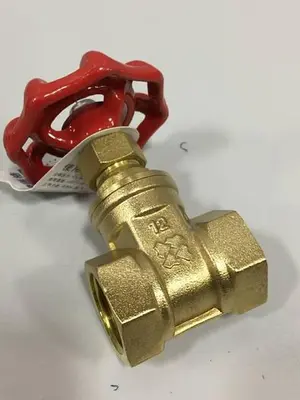 NEW RUIGE VALVE665
