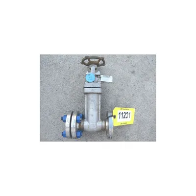 Eagle America 1" Forged Stainless Steel Gate Valve - W8 Series