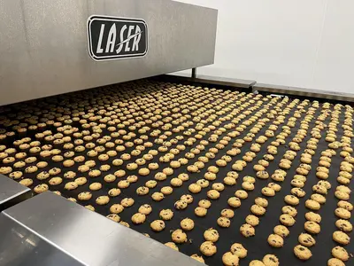 Laser Oven