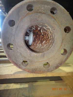Annin 4", Class 300, 556 Control Valve
