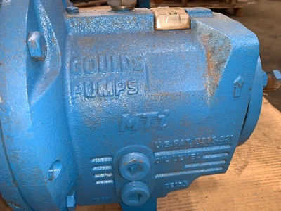USED Goulds 3196 MTi